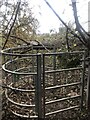 Kissing gate on a path near the River Clwyd