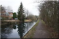 Wyrley & Essington Canal towards Wards Bridge