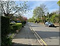 View along Sedley Taylor Road