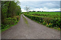 H4858 : Lane, Altanaveragh by Kenneth  Allen