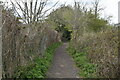 Bridleway to Tithepit Shaw