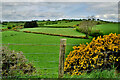 Tatnadaveny Townland