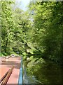 SJ7824 : Shropshire Union Canal - Through woodland south of Bridge 39 by Rob Farrow