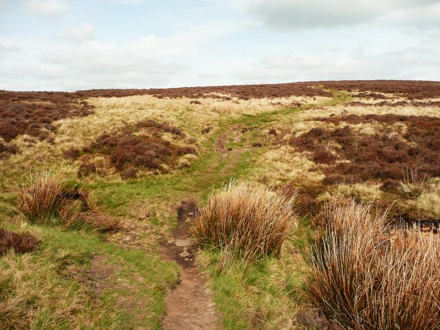 Path to the summit of Crow Hill. Midgley
