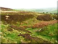 SE0227 : Path in Foster Clough Delfs, Mytholmroyd by Humphrey Bolton