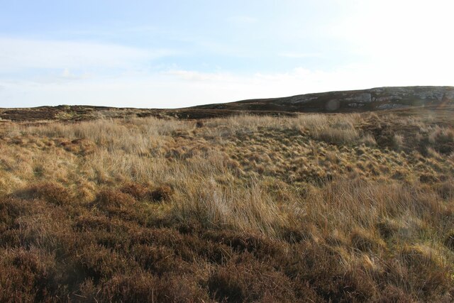 Mixed heath moorland west of Loch Meadie