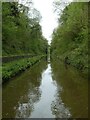 SJ6930 : Shropshire Union Canal - Woodseaves Cutting - High Bridge by Rob Farrow