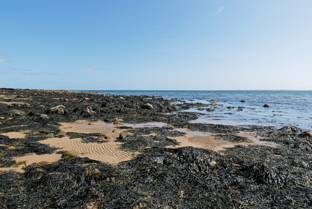 Seaweed and sand, Dornoch