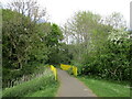 Footpath and footbridge, Corby