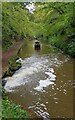 SJ6832 : Shropshire Union Canal - Between locks 4 & 5, Tyrley Locks by Rob Farrow