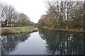 Basin off Wyrley & Essington Canal