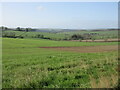 Fields near Carnousie