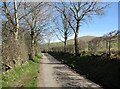 NY2534 : The Cumbria Way near Orthwaite by Adrian Taylor