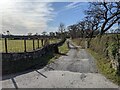 The lane to Gwynfryn Farm