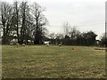 Sheep grazing at Elm Tree Farm