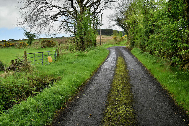 Rylagh Road