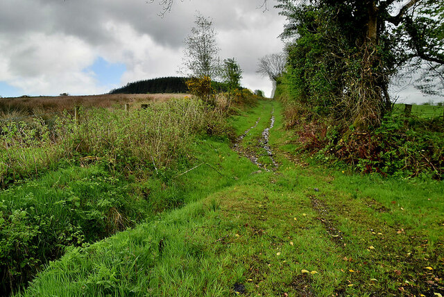 Rough lane to Rylagh Top