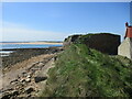 NU2328 : Path  to  top  of  disused  limekilns  Beadnell  Harbour by Martin Dawes