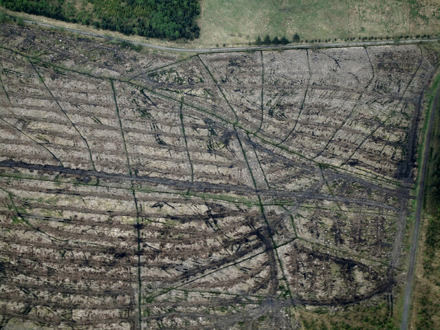 Deforested Peathill Wood from the air
