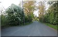 Brook Lane, Stanton on the Wold