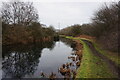 Wyrley & Essington Canal towards Roughwood Motorway Bridge