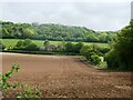 View from Church Lane, near Waltham