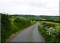 Church Lane, near Waltham