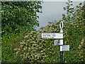 SJ8354 : Signpost at Hardings Wood Junction near Kidsgrove by Roger  Kidd
