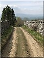 Farm track at Heugh