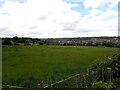 A field by Smithies Moor Lane, Batley