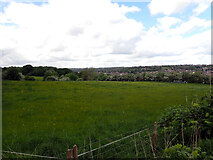 SE2225 : A field by Smithies Moor Lane, Batley by habiloid