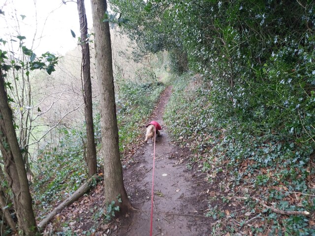 Footpath next to the River