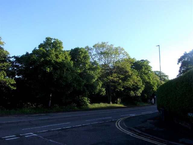 Looking from St Mildred's Road into London Road