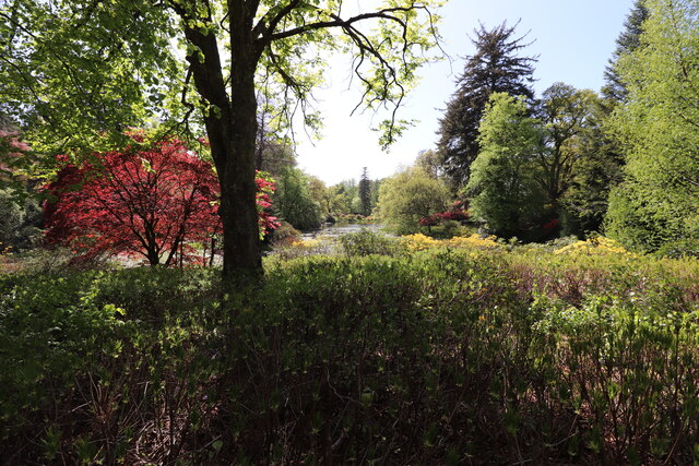 The Pond, Bargany Gardens © Billy McCrorie cc-by-sa/2.0 :: Geograph ...