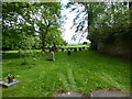 Part of the churchyard at St Marys, Stottesdon