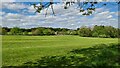 Parkland around Beauchief Hall