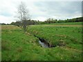 The Craigdhu Burn