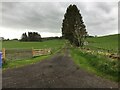 Farm road to West Torrie Farm