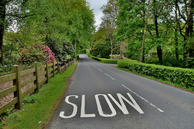 Slow markings along Crevenagh Road