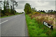 H5068 : Donaghanie Road, Donaghanie by Kenneth  Allen