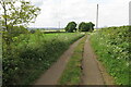 Millennium Way on the track to Hill Farm