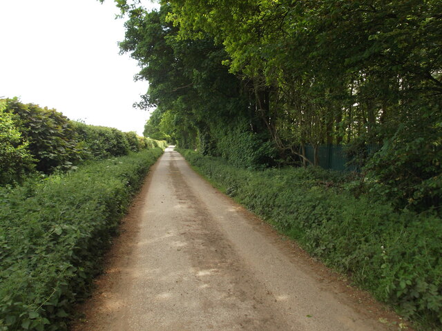 Road by Gate Wood