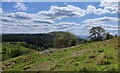 SJ2914 : The Breidden Hills by Mat Fascione