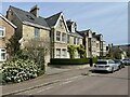 Houses along Hartington Grove