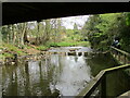 Stepping  stones  over  River  Esk  at  Egton  Bridge