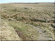 SE0603 : The Pennine Way near North Grain by Dave Kelly
