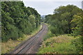 Railway west of Tisbury