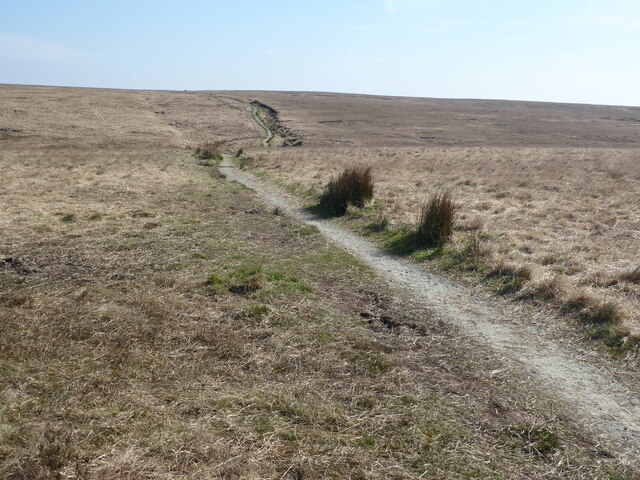The Pennine Way near Little Moss