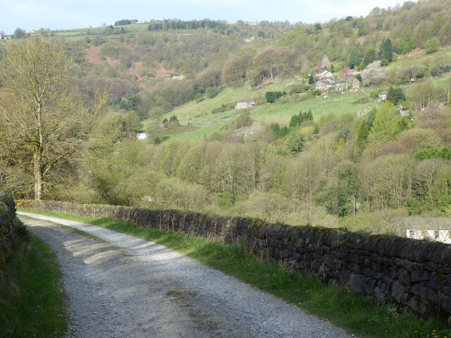 The Pennine Way near Callis Wood