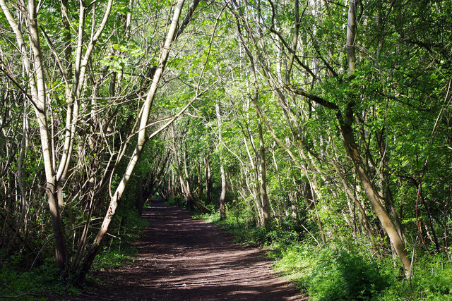 Old railway near Bilton © Stephen McKay :: Geograph Britain and Ireland